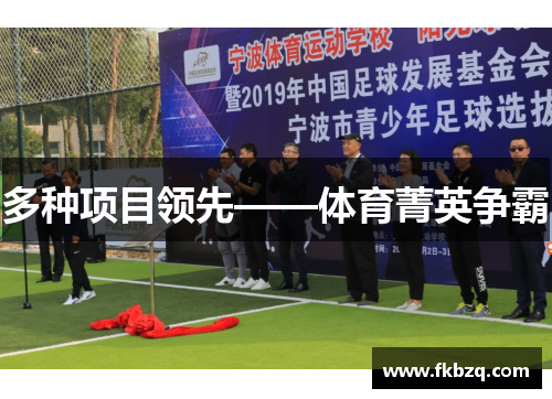 多种项目领先——体育菁英争霸